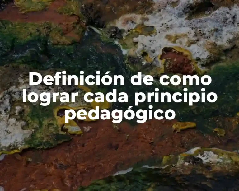 Definición de como lograr cada principio pedagógico
