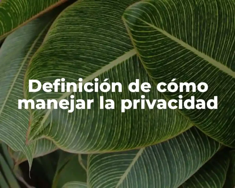 Definición de cómo manejar la privacidad