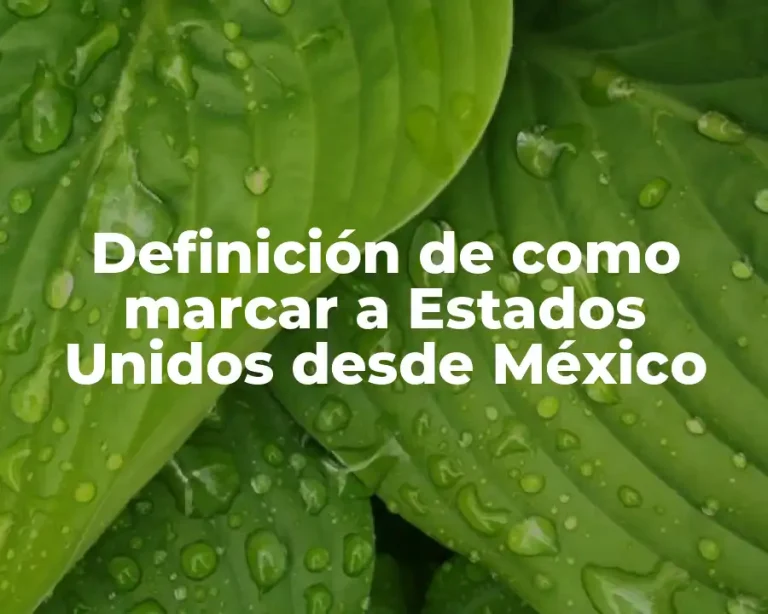 Definición de como marcar a Estados Unidos desde México