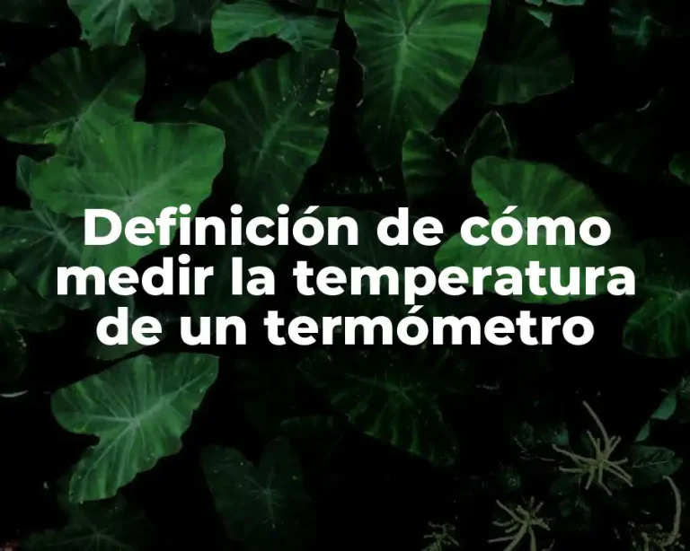 Definición de cómo medir la temperatura de un termómetro