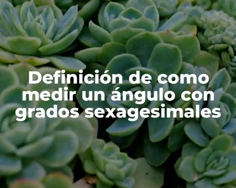 Definición de como medir un ángulo con grados sexagesimales