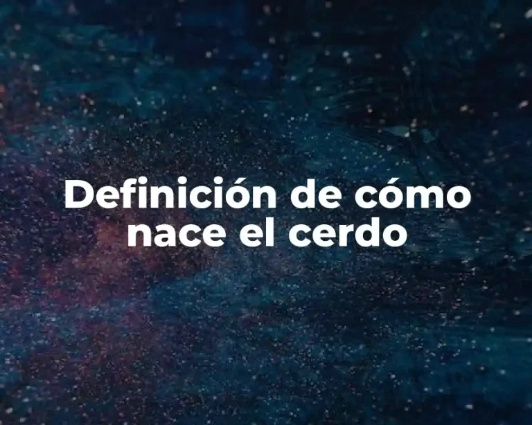Definición de cómo nace el cerdo