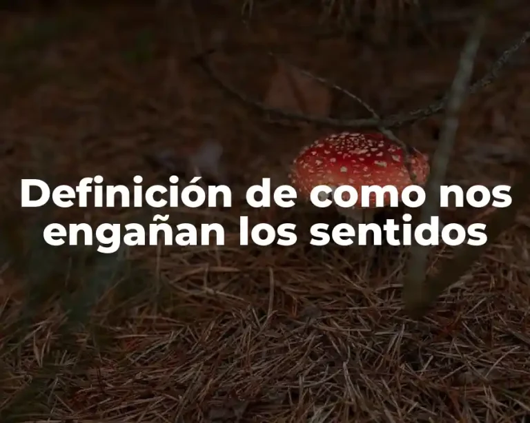 Definición de como nos engañan los sentidos