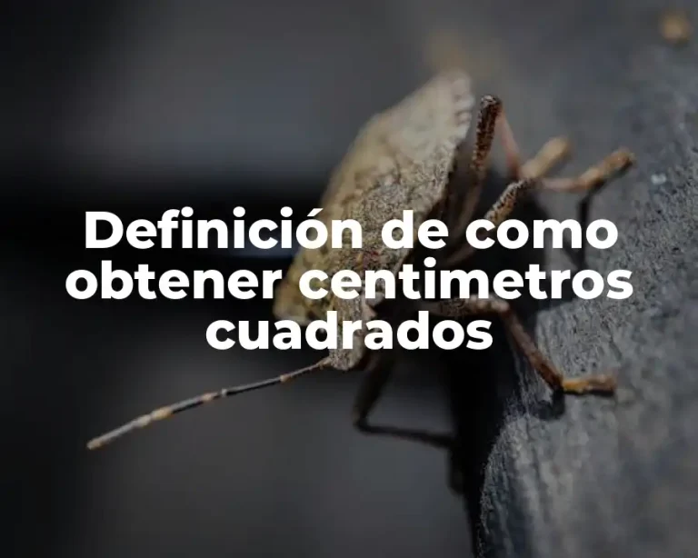 Definición de como obtener centimetros cuadrados