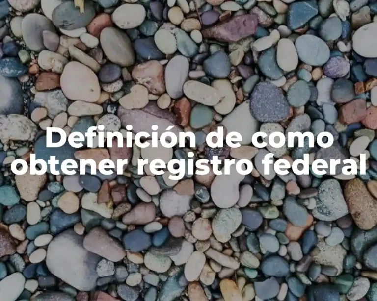 Definición de como obtener registro federal