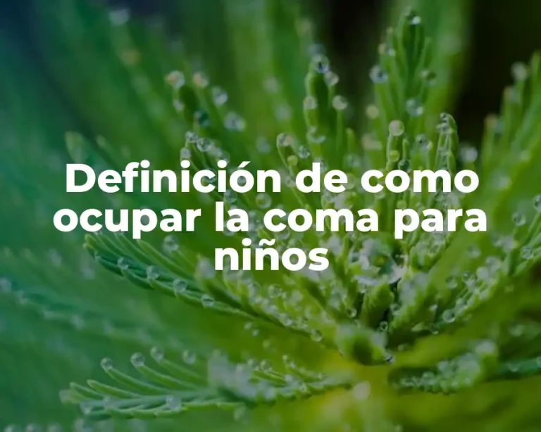Definición de como ocupar la coma para niños