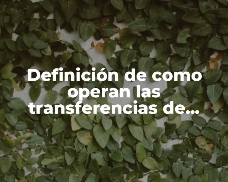 Definición de como operan las transferencias de mercancías virtuales