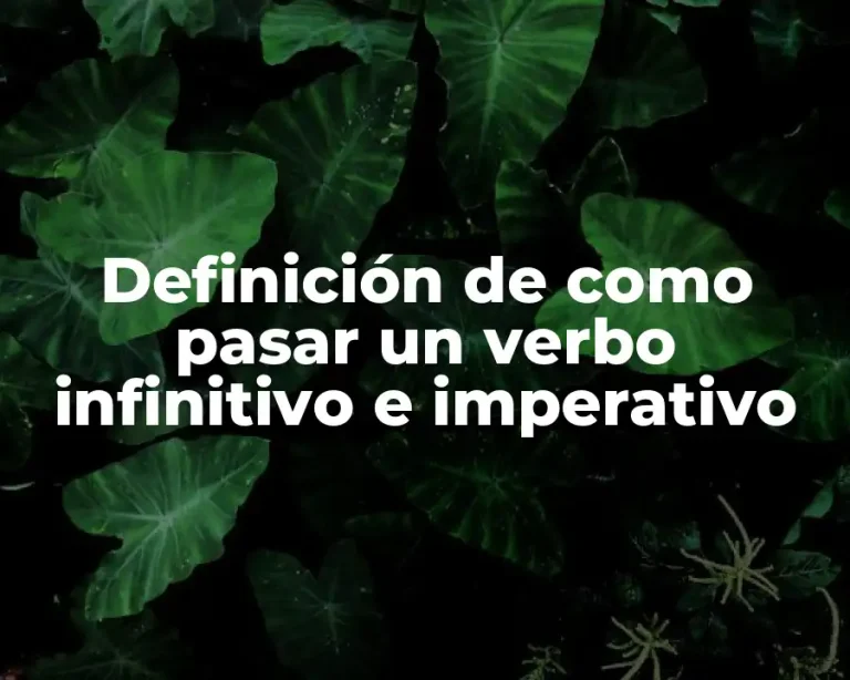 Definición de como pasar un verbo infinitivo e imperativo