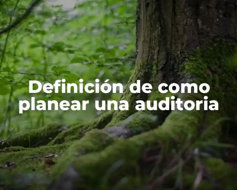 Definición de como planear una auditoria