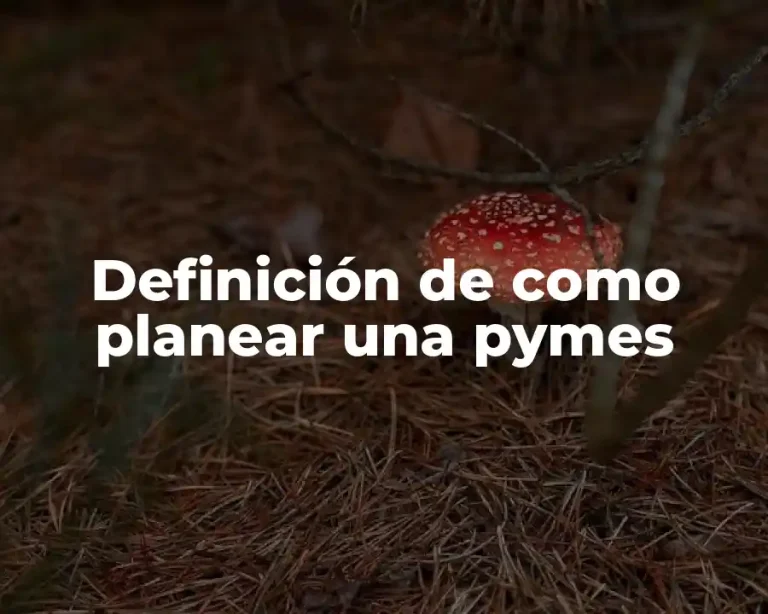 Definición de como planear una pymes