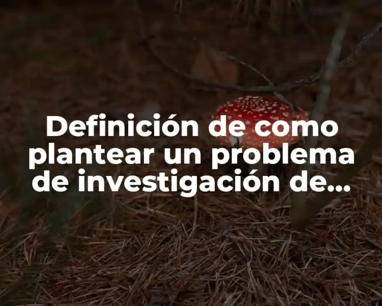 Definición de como plantear un problema de investigación de mercados