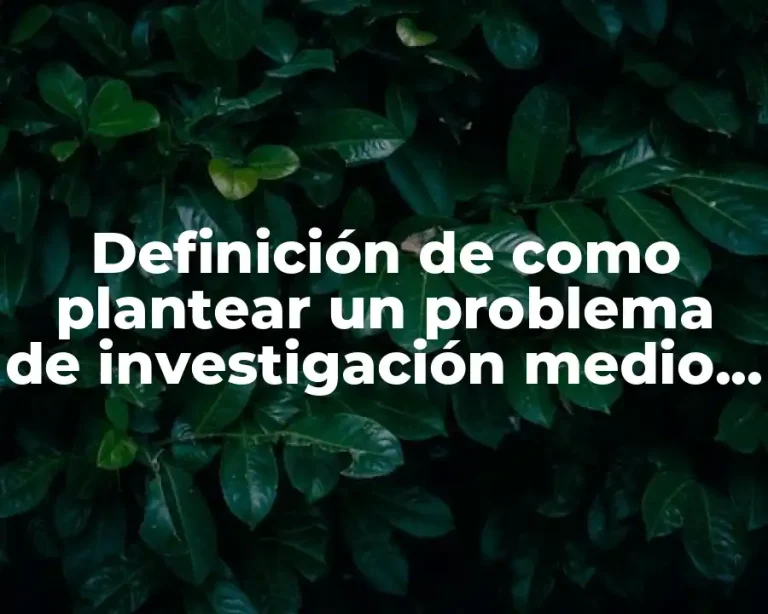 Definición de como plantear un problema de investigación medio ambiente