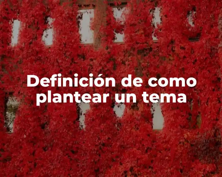 Definición de como plantear un tema