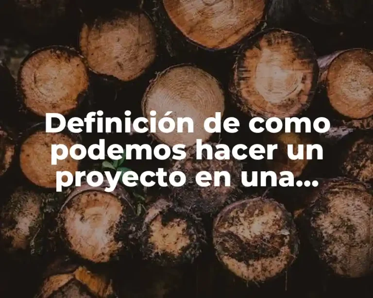 Definición de como podemos hacer un proyecto en una escuela