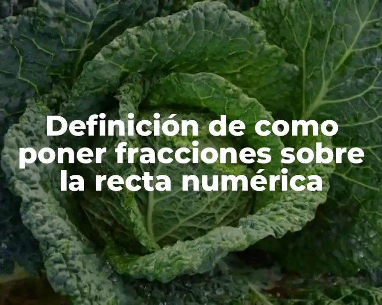 Definición de como poner fracciones sobre la recta numérica