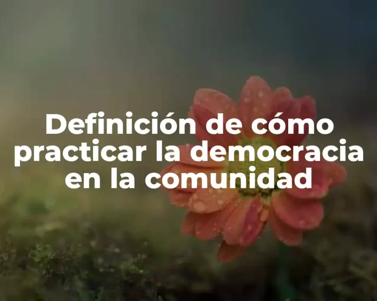 Definición de cómo practicar la democracia en la comunidad