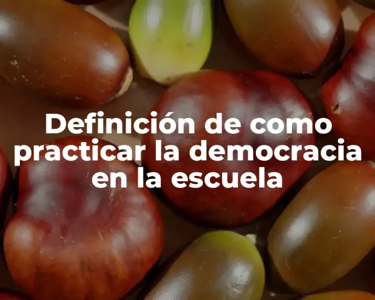 Definición de como practicar la democracia en la escuela