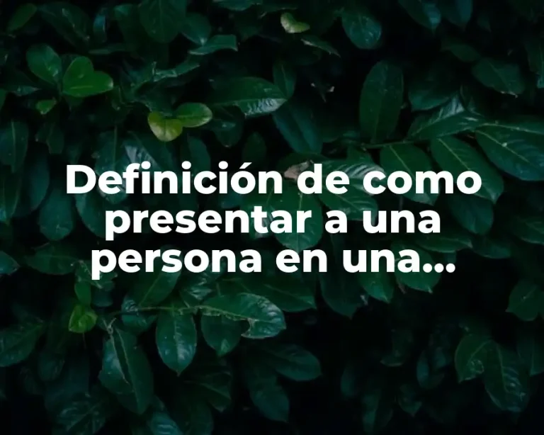 Definición de como presentar a una persona en una conferencia