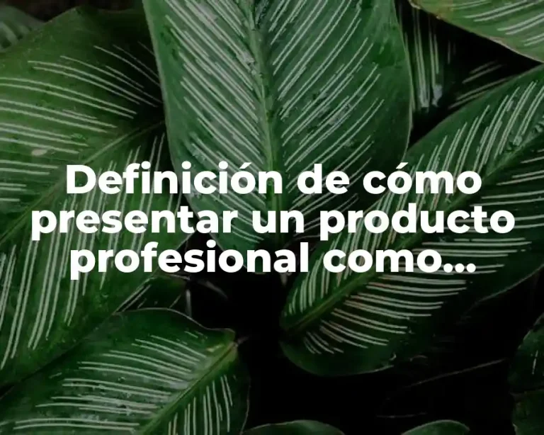 Definición de cómo presentar un producto profesional como mercadotecnia