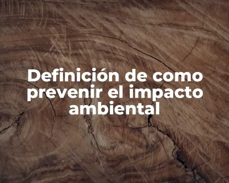 Definición de como prevenir el impacto ambiental