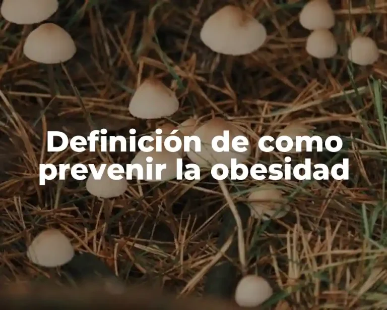 Definición de como prevenir la obesidad