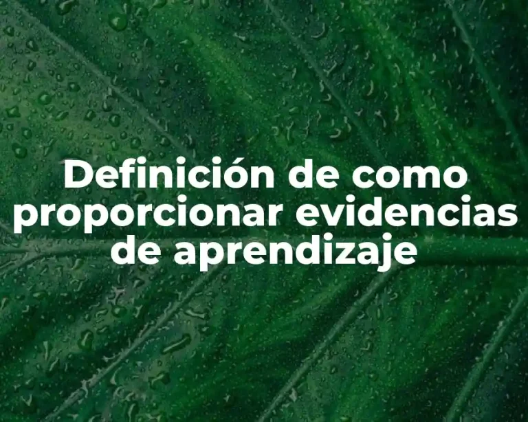 Definición de como proporcionar evidencias de aprendizaje