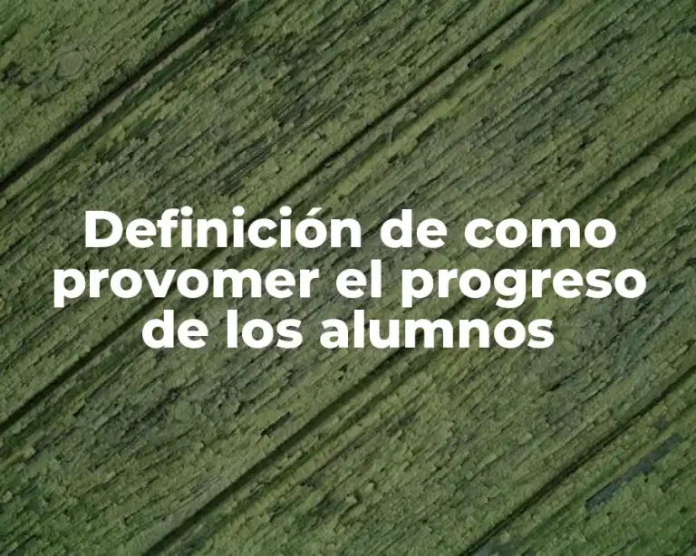 Definición de como provomer el progreso de los alumnos