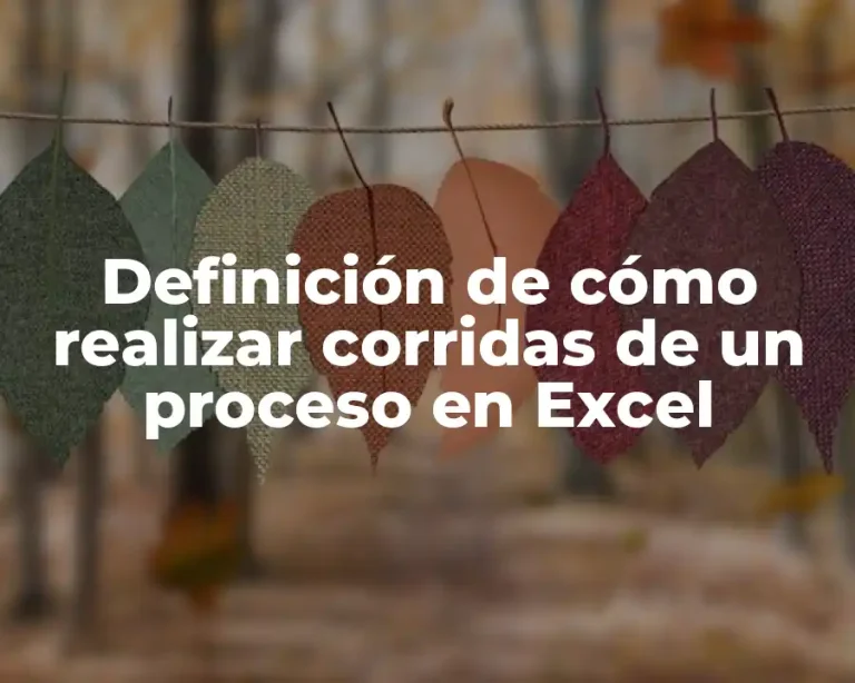 Definición de cómo realizar corridas de un proceso en Excel