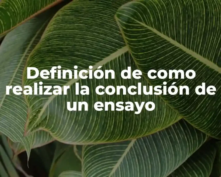 Definición de como realizar la conclusión de un ensayo
