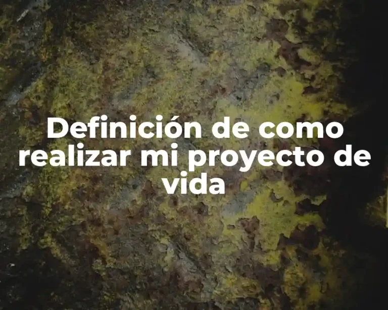 Definición de como realizar mi proyecto de vida