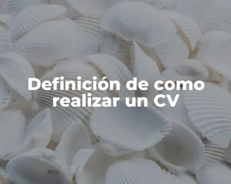 Definición de como realizar un CV
