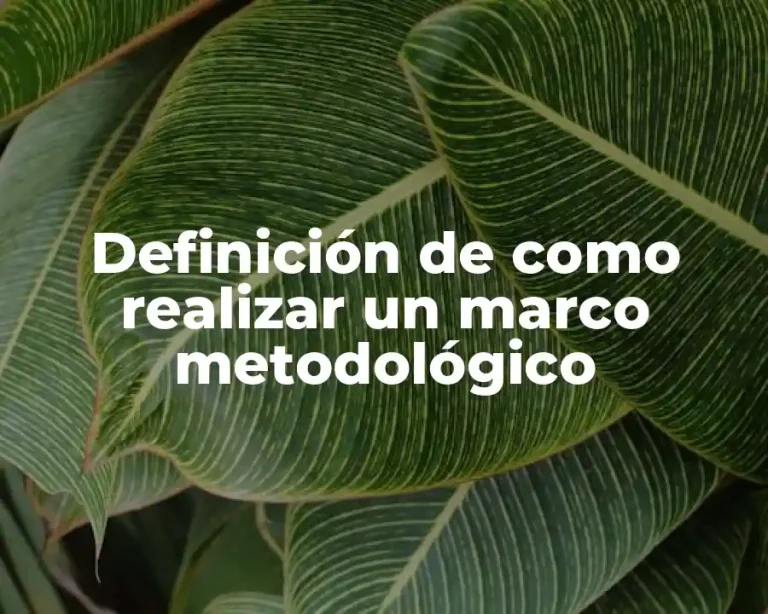 Definición de como realizar un marco metodológico