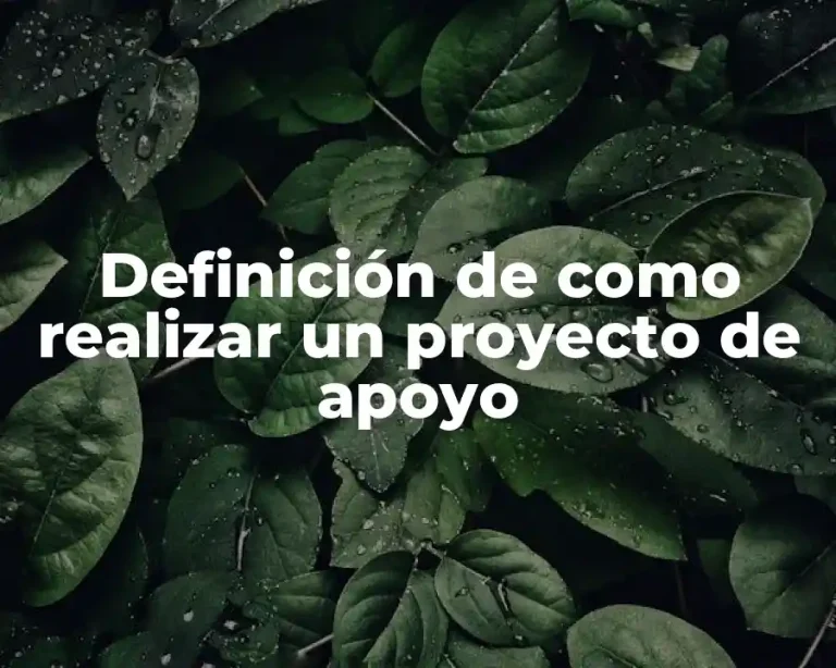 Definición de como realizar un proyecto de apoyo