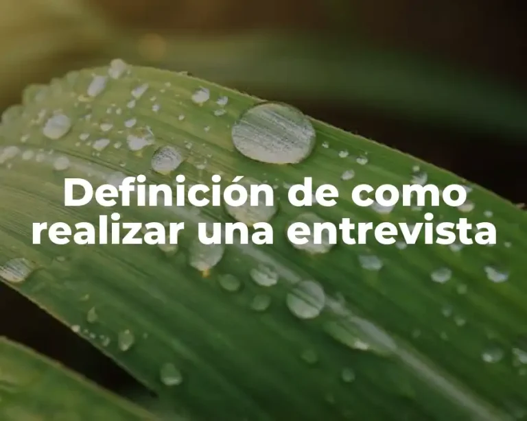 Definición de como realizar una entrevista