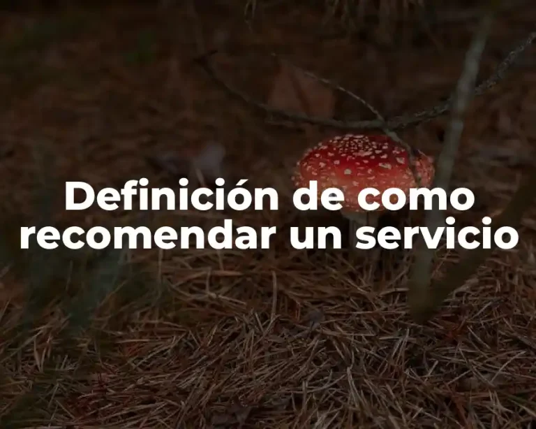Definición de como recomendar un servicio