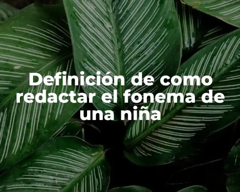 Definición de como redactar el fonema de una niña