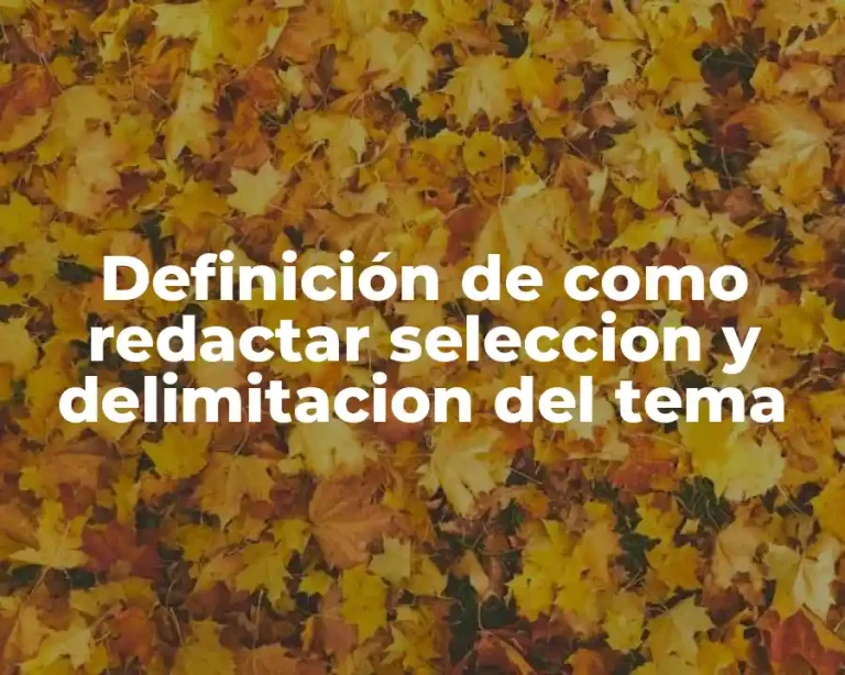 Definición de como redactar seleccion y delimitacion del tema