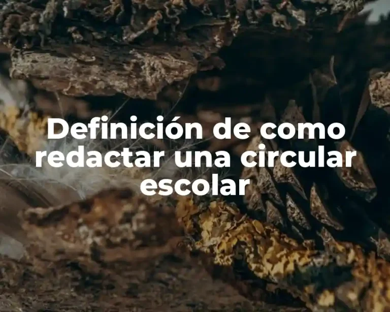 Definición de como redactar una circular escolar