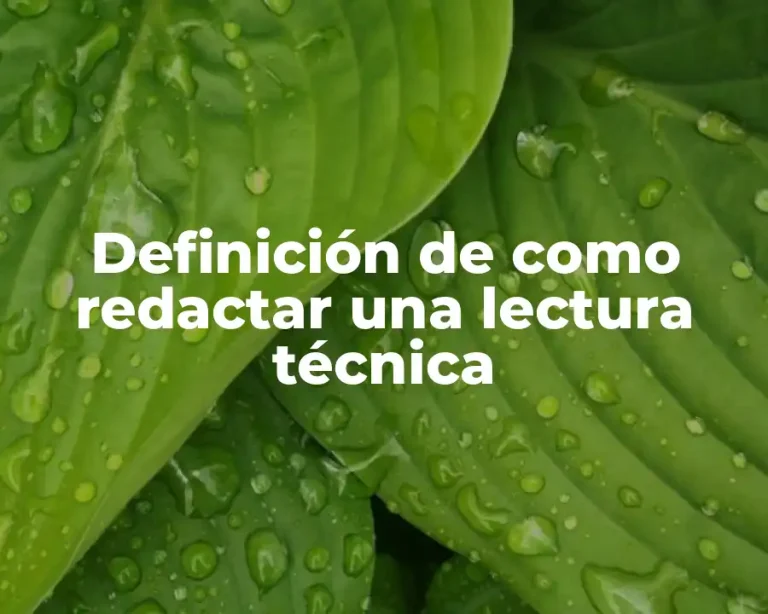 Definición de como redactar una lectura técnica