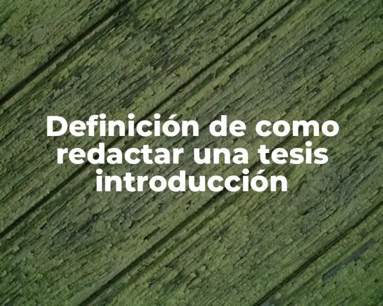 Definición de como redactar una tesis introducción