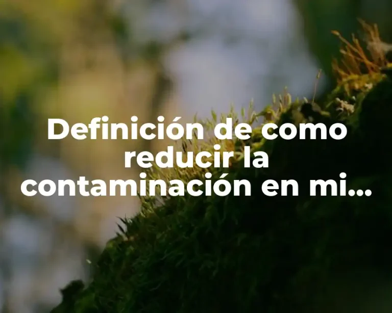 Definición de como reducir la contaminación en mi comunidad