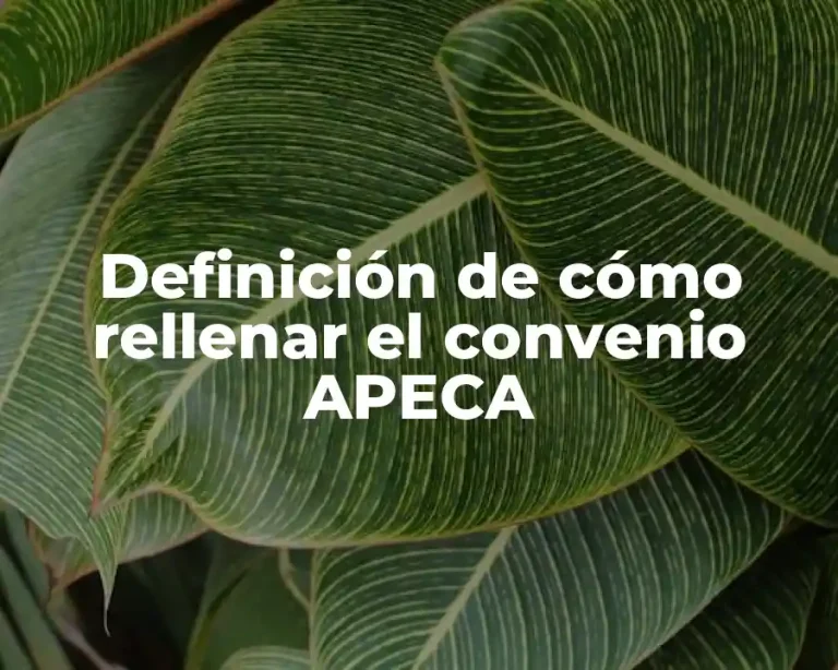 Definición de cómo rellenar el convenio APECA