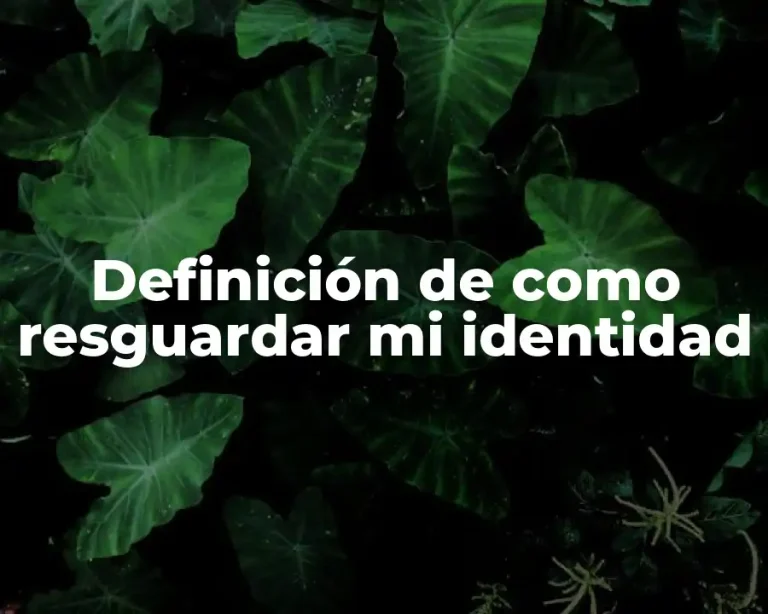 Definición de como resguardar mi identidad