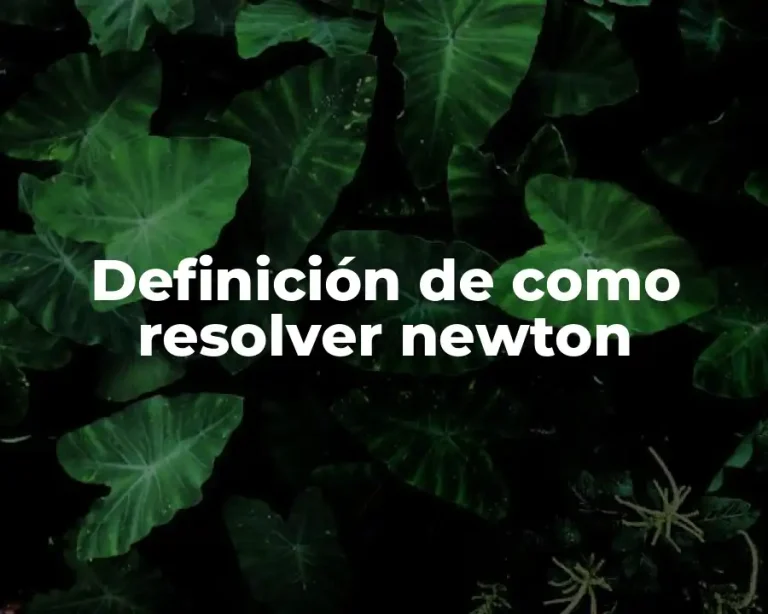 Definición de como resolver newton