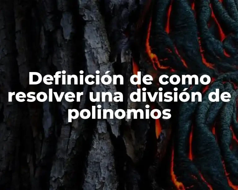 Definición de como resolver una división de polinomios
