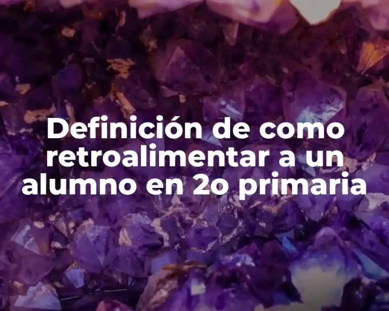 Definición de como retroalimentar a un alumno en 2o primaria