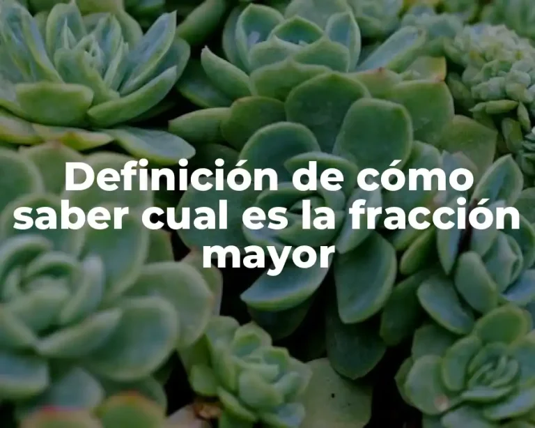Definición de cómo saber cual es la fracción mayor