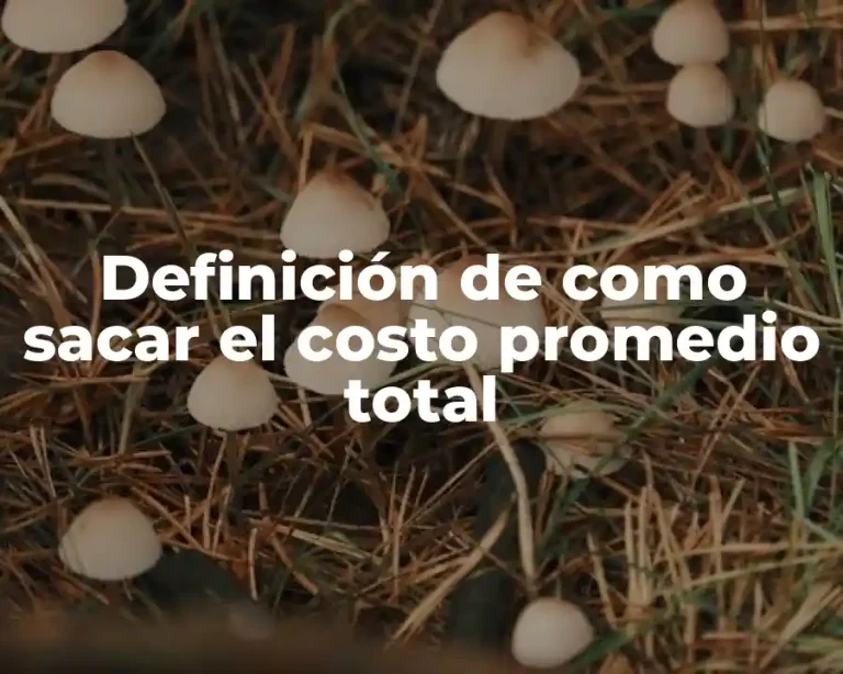 Definición de como sacar el costo promedio total