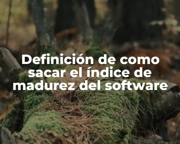 Definición de como sacar el índice de madurez del software