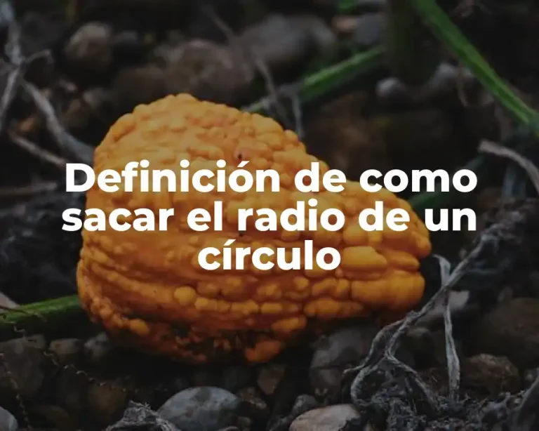 Definición de como sacar el radio de un círculo